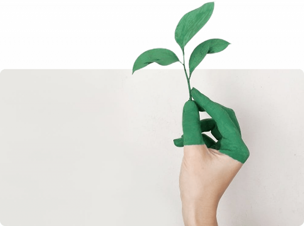 formation de naturopathie en ligne Naturaneo