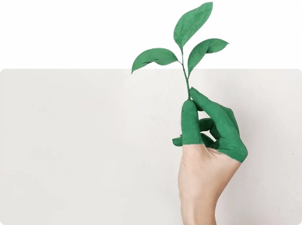 formation de naturopathie en ligne Naturaneo