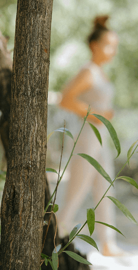 école de naturopathie en ligne