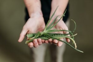 naturopathie définition