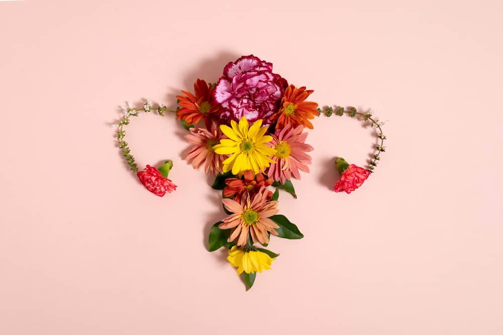 Santé de la femme - module à la carte Naturaneo