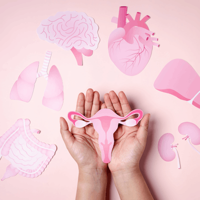 formation santé de la femme