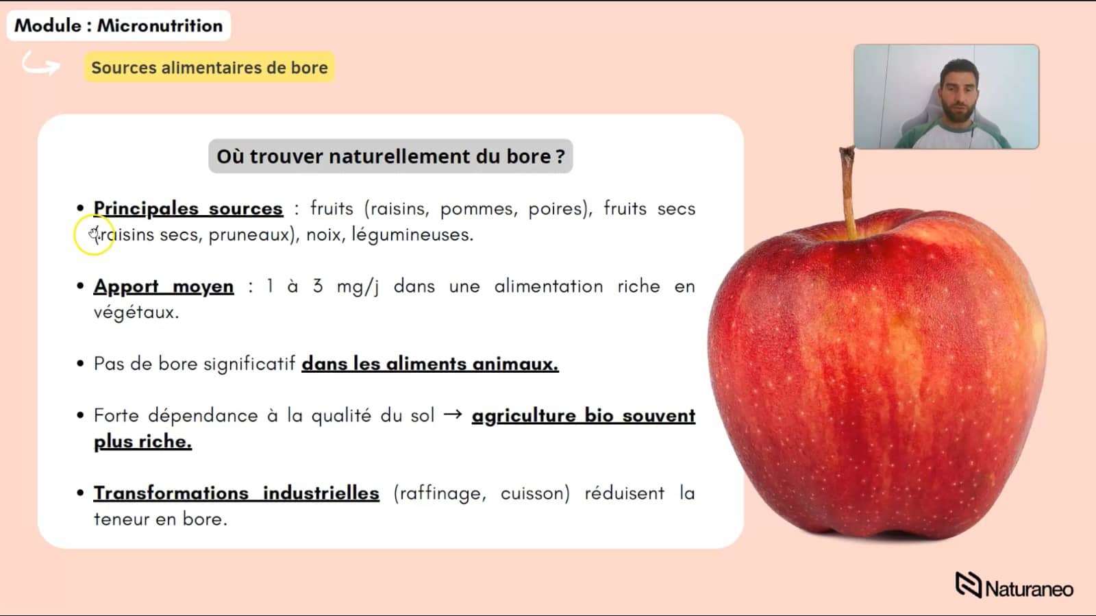 Micronutrition : source alimentaire de bore