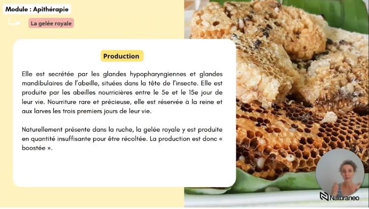 Apitherapie - Sophie Dupont