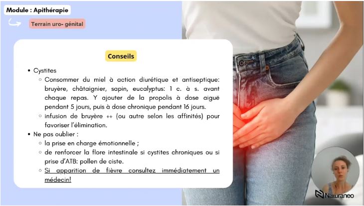 Apitherapie - Sophie Dupont2