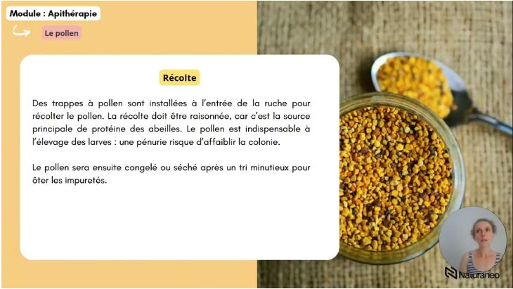 Apitherapie - Sophie Dupont3