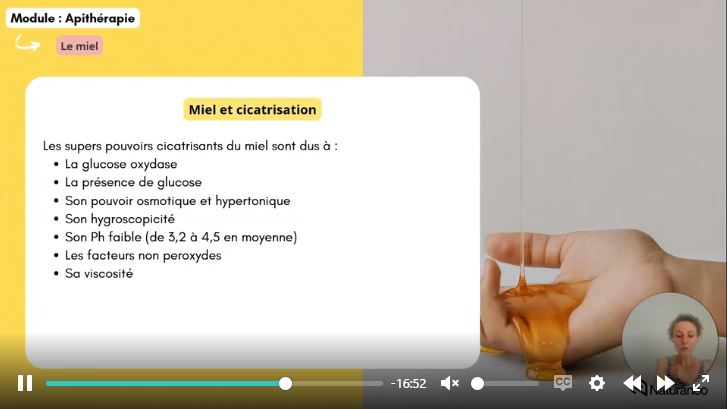 Apitherapie - Sophie Dupont5