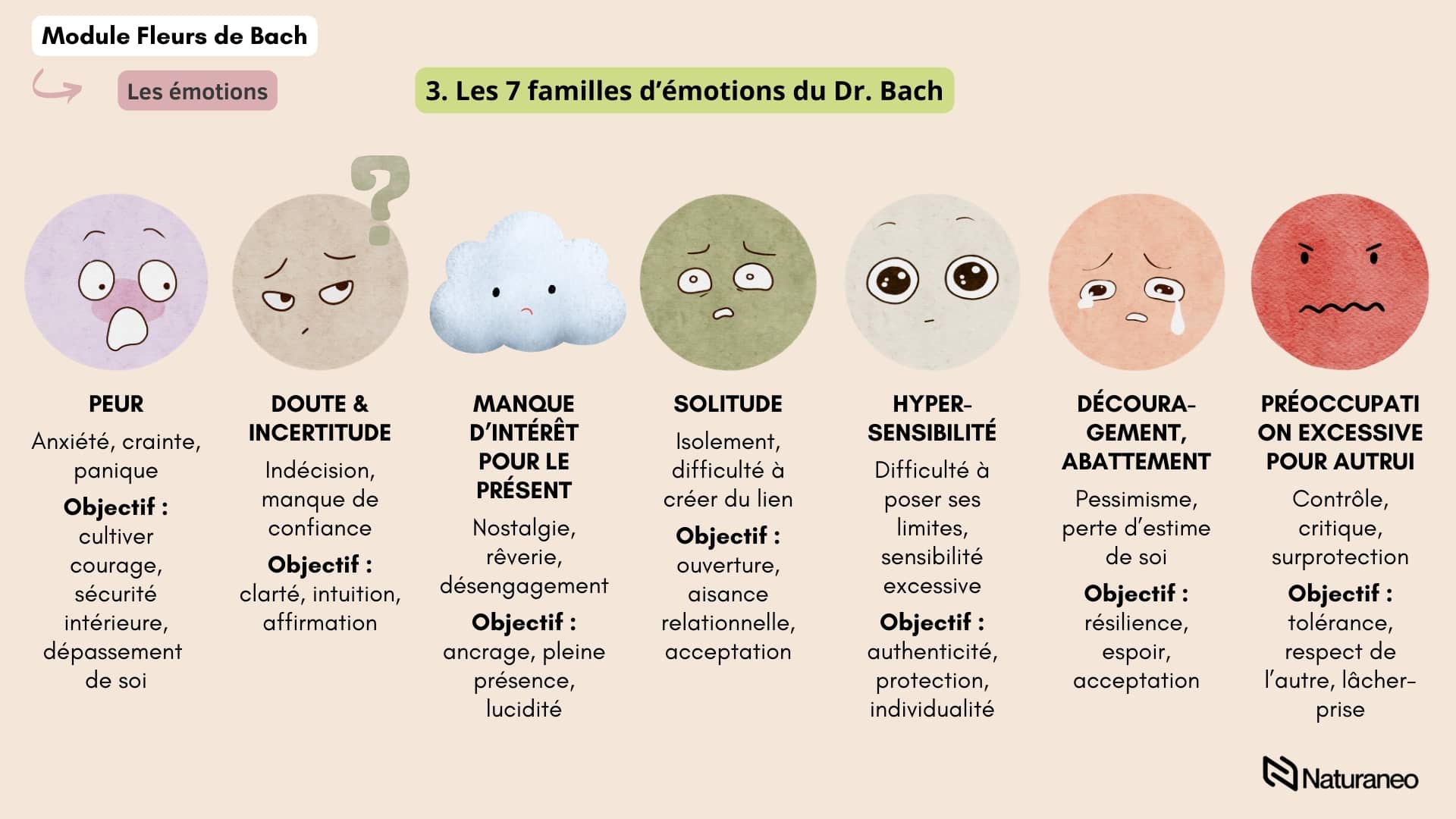 Emmanuelle_Grenon_Fleurs_de_Bach1_7_familles_emotions - Emmanuelle Grenon