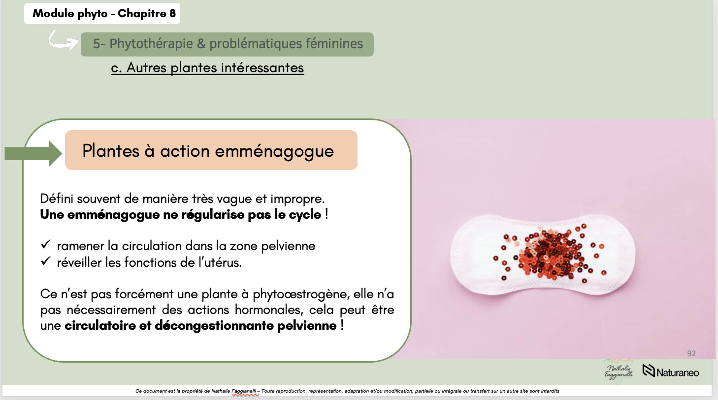 Formation Phytothérapie - Nathalie Faggianelli