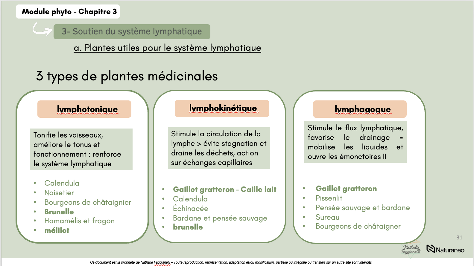 Formation Phytothérapie - Nathalie Faggianelli