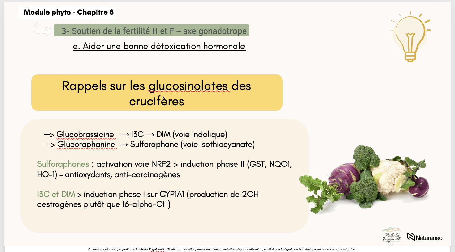 Formation Phytothérapie - Nathalie Faggianelli
