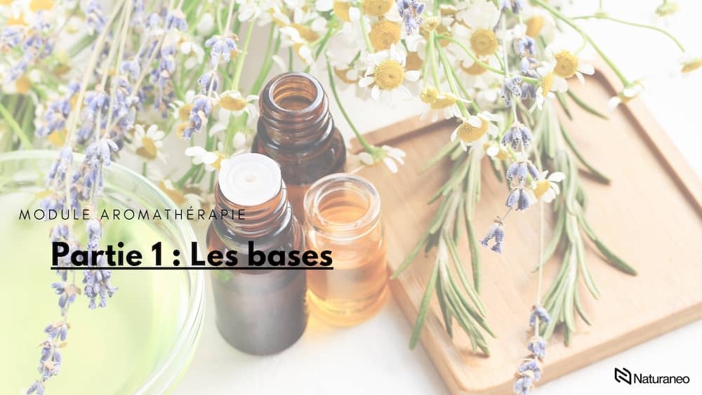 Aroma 1 - Anh Nguyen