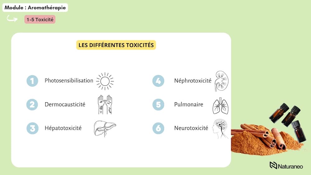 Aroma 4 - Anh Nguyen