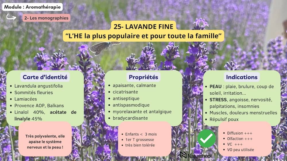 Aroma 5 - Anh Nguyen