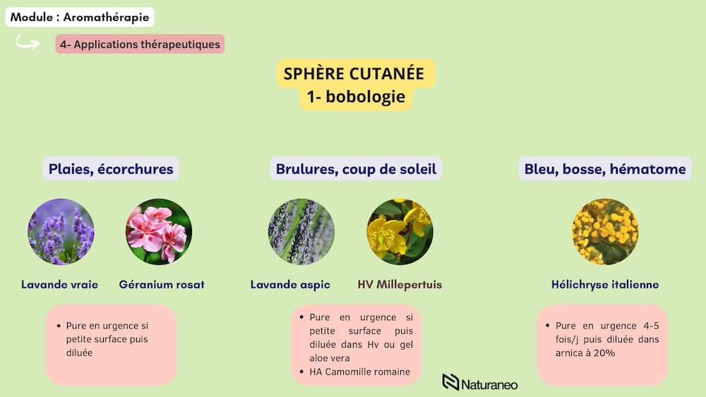 Aroma 6 - Anh Nguyen