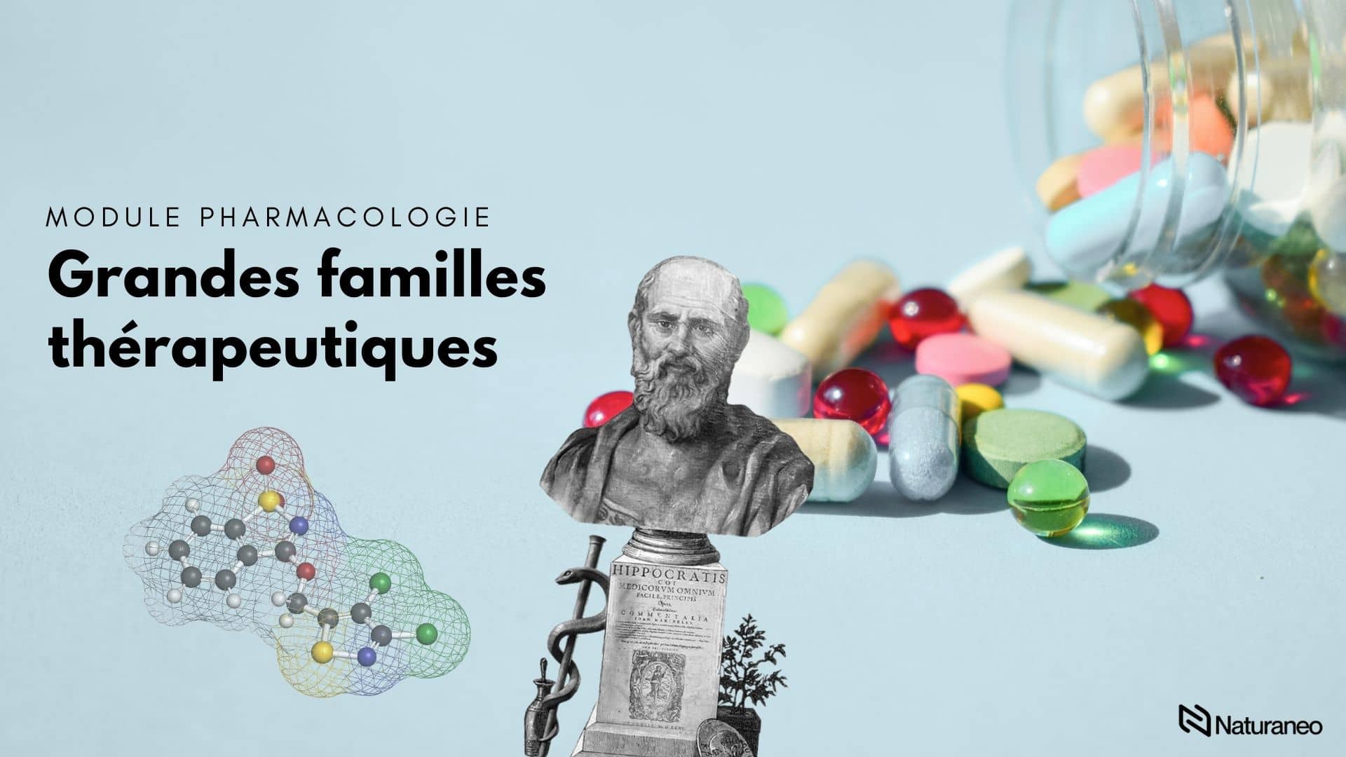 DOULEUR - Charlelie Couput