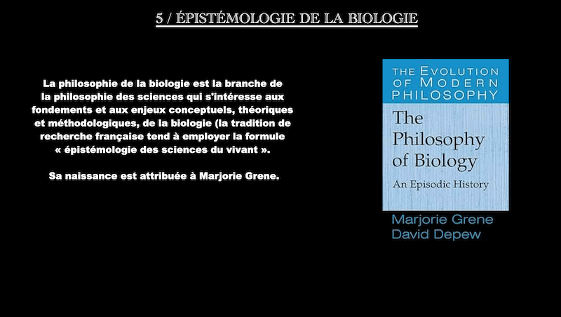 Pierre ETCHART - 4