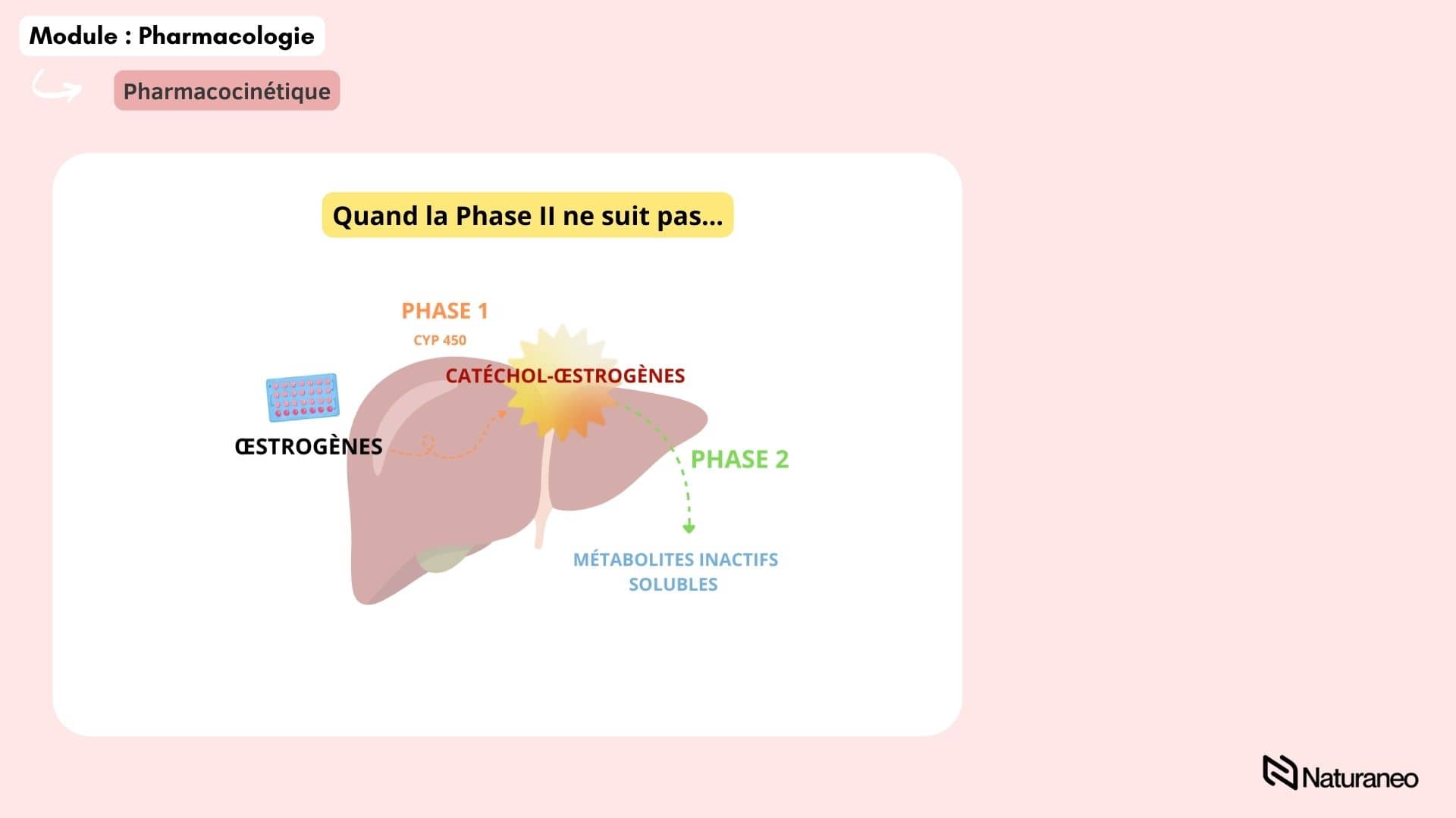 Intro pharmaco C +D - Charlelie Couput