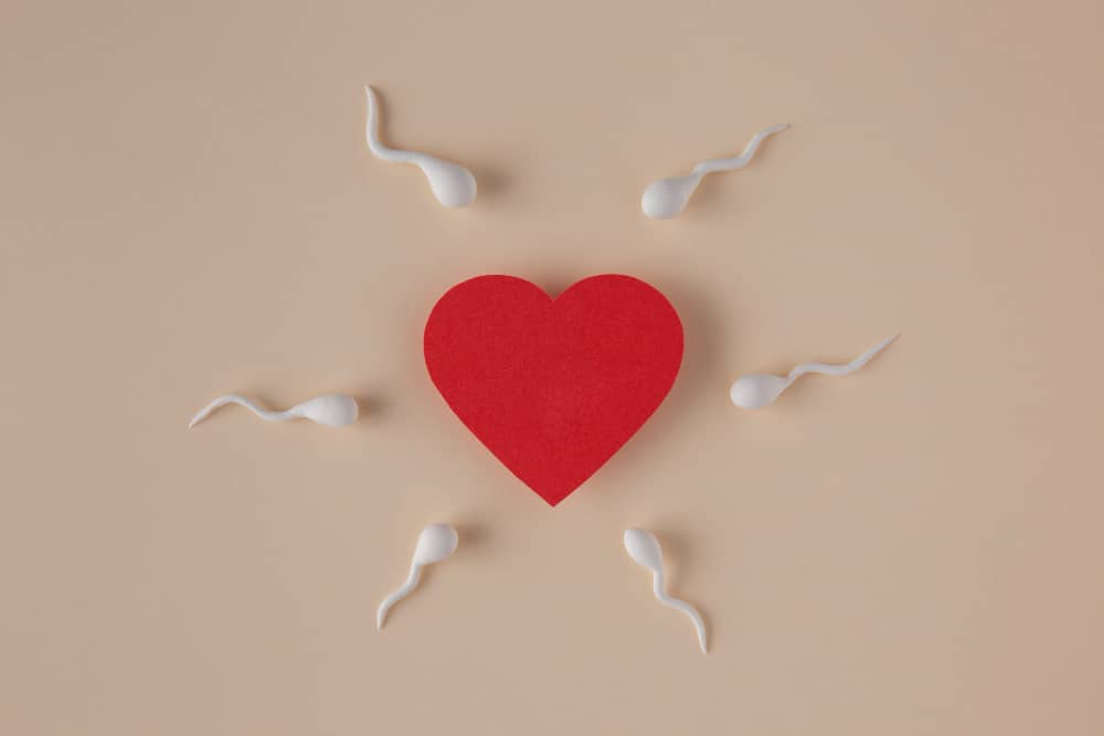 Préconception Naturaneo