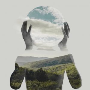 Formation homeostasie