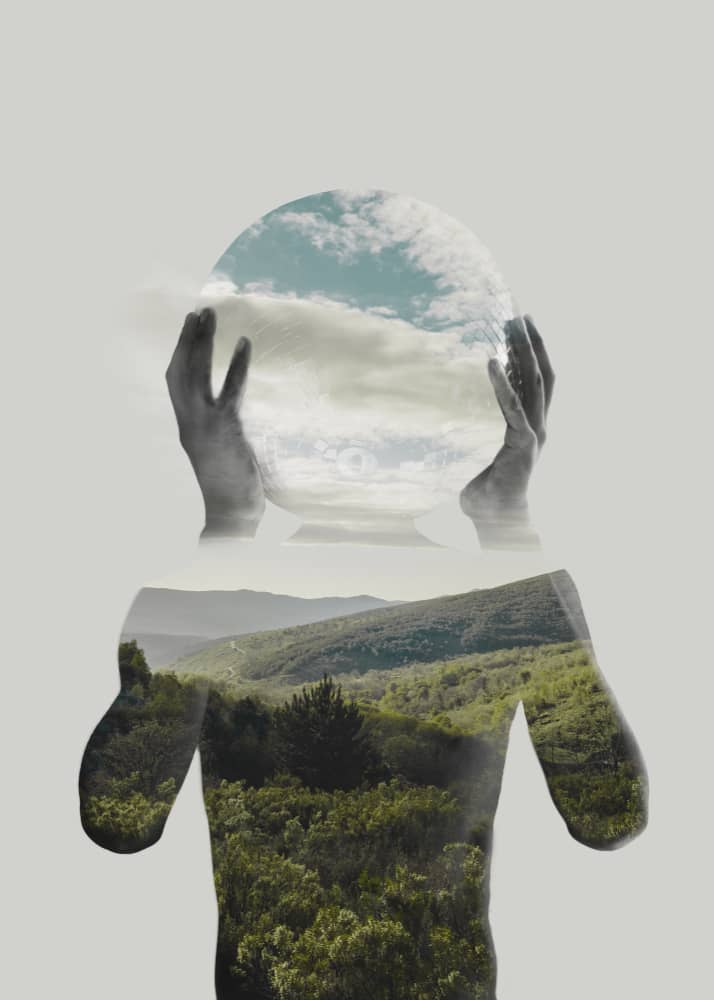 Formation homeostasie