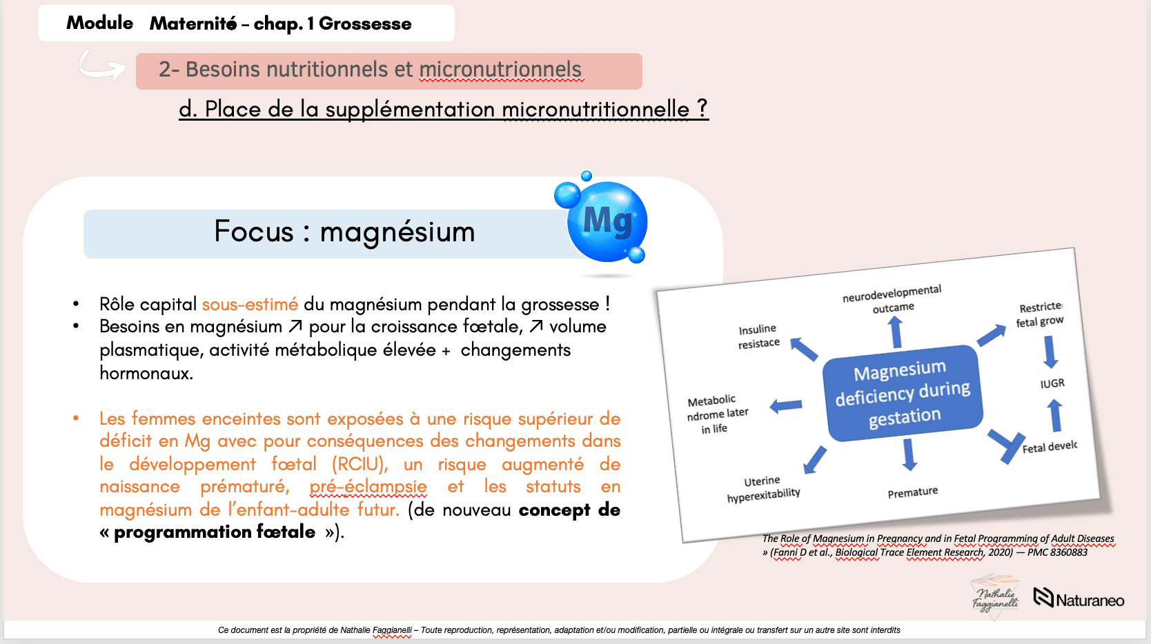 maternité9 - Nathalie Faggianelli