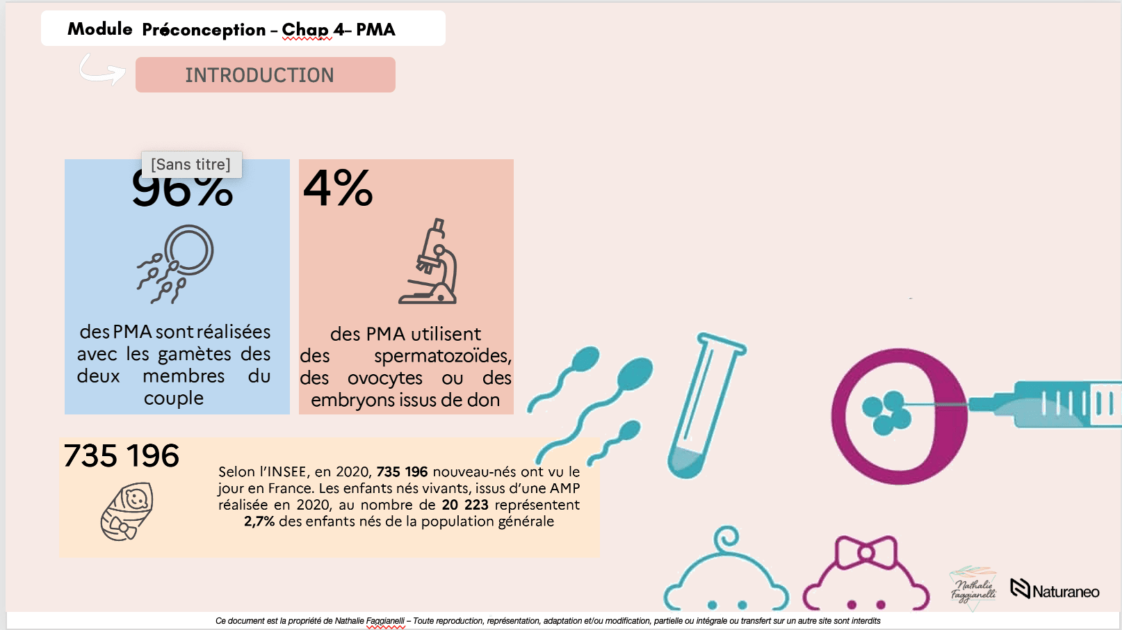 preconception1 - Nathalie Faggianelli