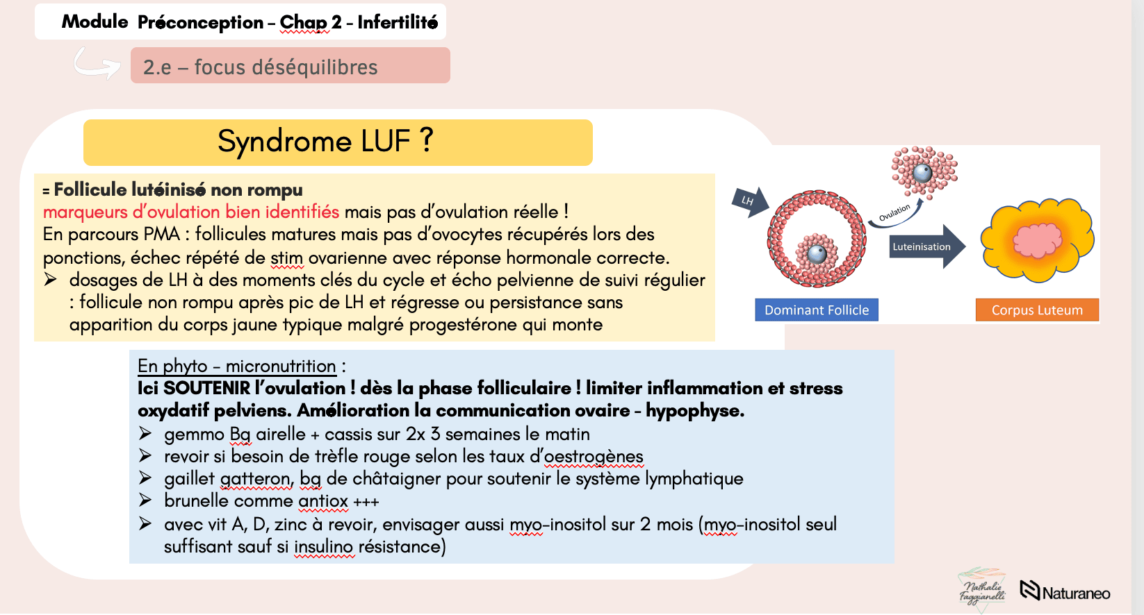 preconception3 - Nathalie Faggianelli