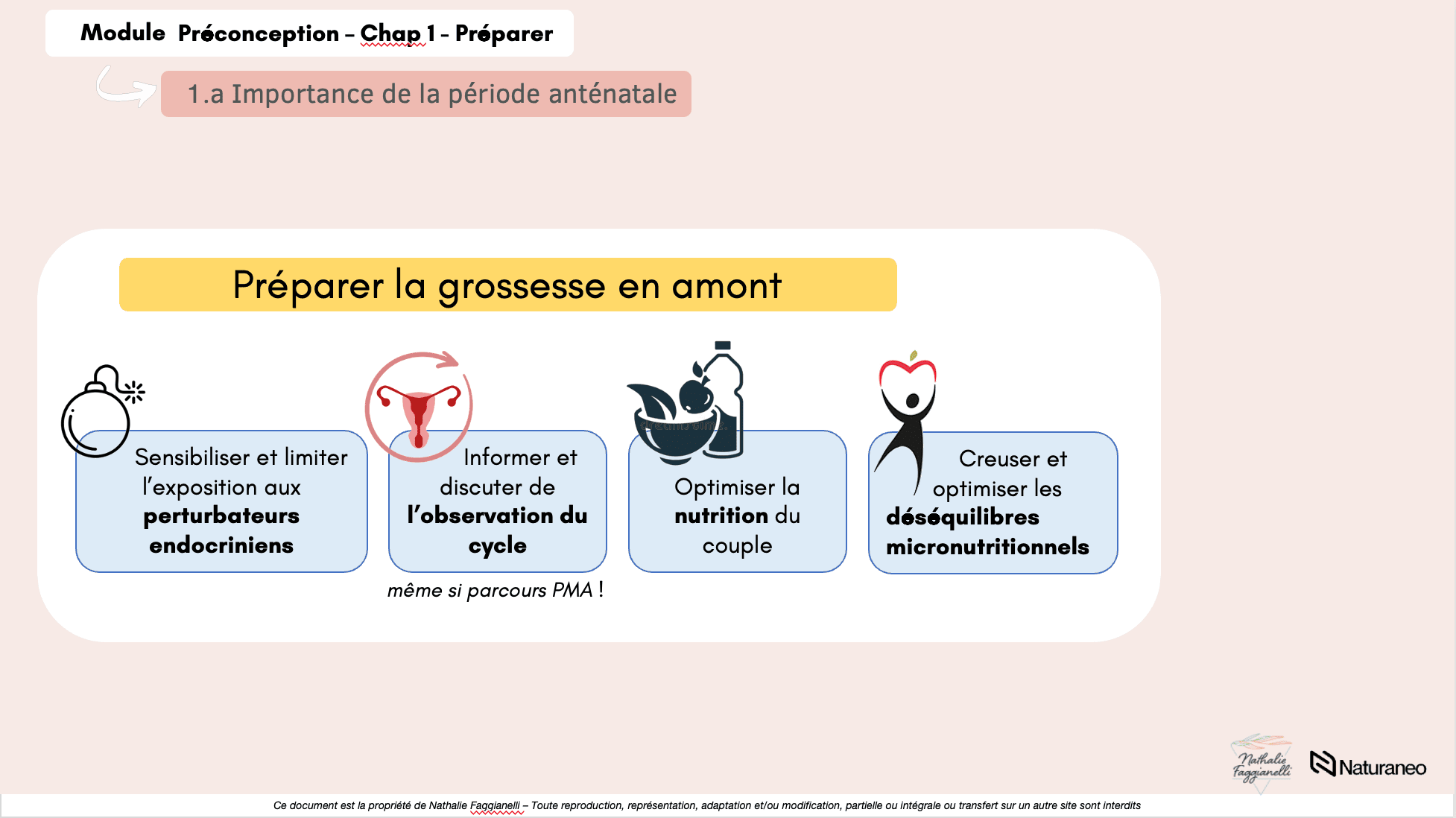 preconception9 - Nathalie Faggianelli