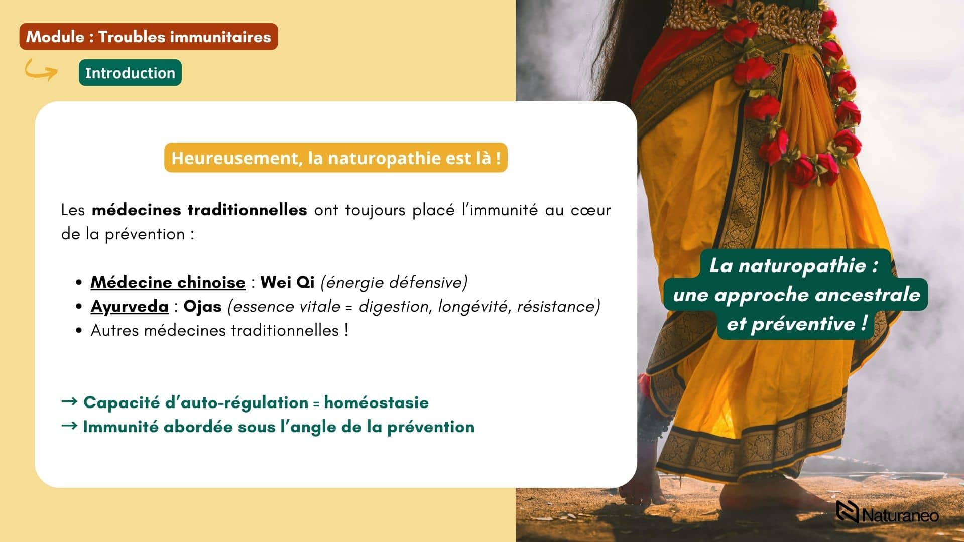 Chapitre Immunité 1