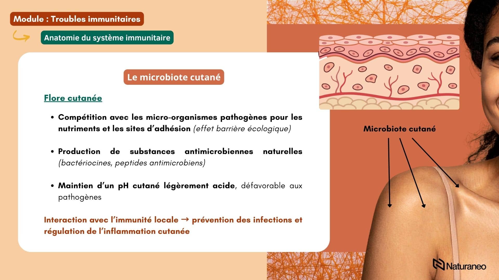 Chapitre Immunité 4