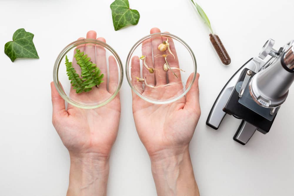 naturopathie étude scientifique
