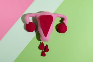 cycles menstruels et naturopathie